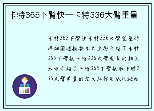 卡特365下臂快—卡特336大臂重量